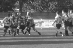 PONTUS197