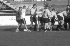 PONTUS202