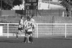 PONTUS203