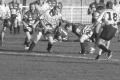 PONTUS209