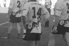 PONTUS230