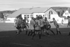 PONTUS231