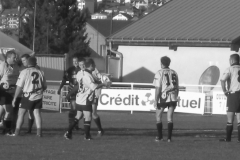 PONTUS244