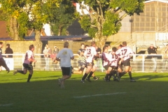 PONTUS309