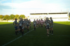 PONTUS341
