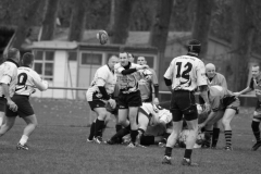 IMG_6247
