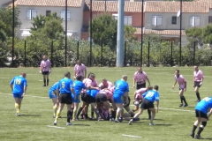 MONTPELLIER031