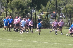 MONTPELLIER039