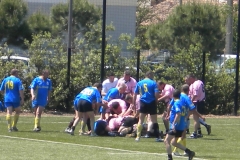 MONTPELLIER041