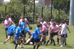 MONTPELLIER042