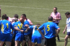 MONTPELLIER044
