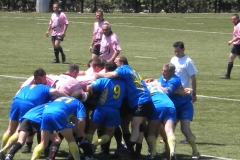 MONTPELLIER045
