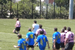 MONTPELLIER046