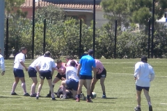 MONTPELLIER055