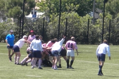 MONTPELLIER060