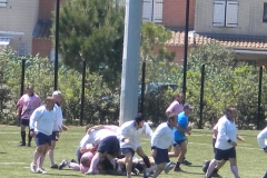 MONTPELLIER061