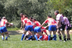 MONTPELLIER193
