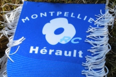 MONTPELLIER348
