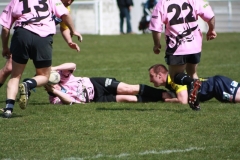 PONTUS157