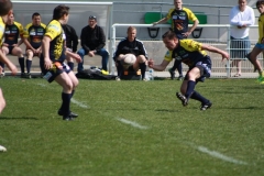 PONTUS184
