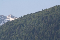 Luchon250