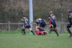 IMG_2010