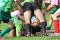 photo41