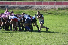 photo52