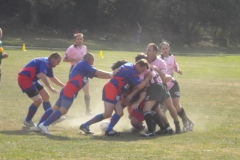 TOURNOIMALCOMBE2009268