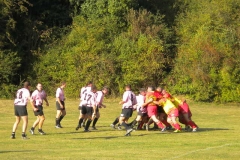 TOURNOIMALCOMBE2009418